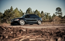 Черный BMW 1 series в лесу